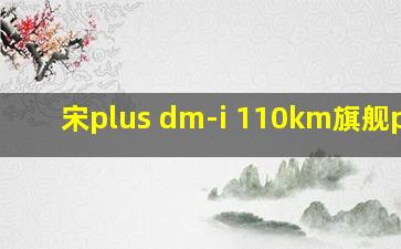 宋plus dm-i 110km旗舰plus